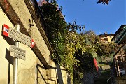 11 Di fronte al cimitero sulla sx parte il sentiero 505 per il Monte Zucco...due ore e mezza di cammino 